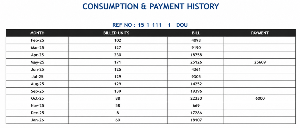 CONSUMPTION & PAYMENT HISTORY